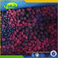 Wholesale Bulk Distribute frozen mixed berries